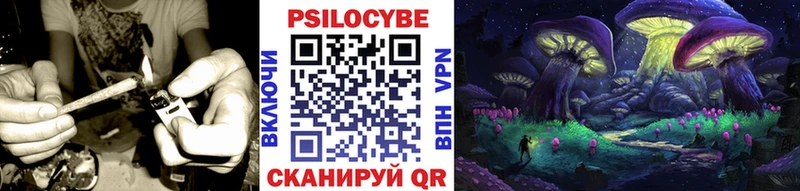 Псилоцибиновые грибы Psilocybe  нарко площадка Telegram  Нижнеудинск  закладки 
